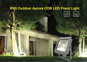 IP65 Outdoor Aurora COB Serial LED Flood Lights