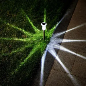 Night Star Solar Pathway Illumination Lights