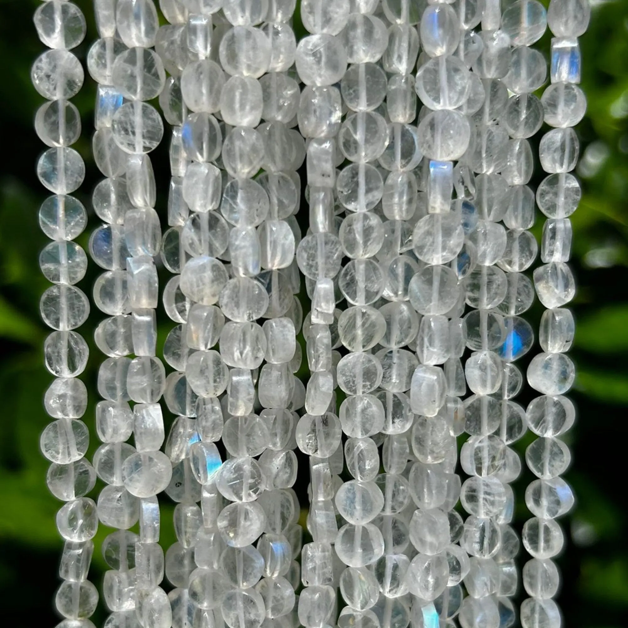Rainbow Moonstone Faceted Coin Shaped Beads | Iridescent Milky White Gemstone Beads – 6mm | Jewelry Strand